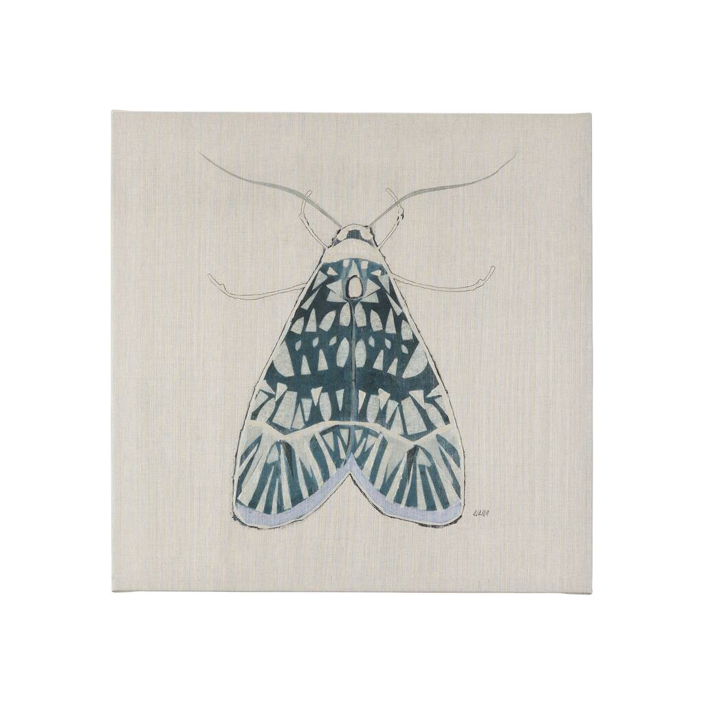 Moth Blue I (20 x 20 ) Canvas Art Print