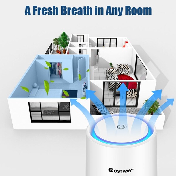 Costway ionic sales air purifier
