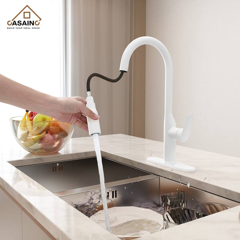 Single Handle Pull-Down Sprayer Kitchen Faucet