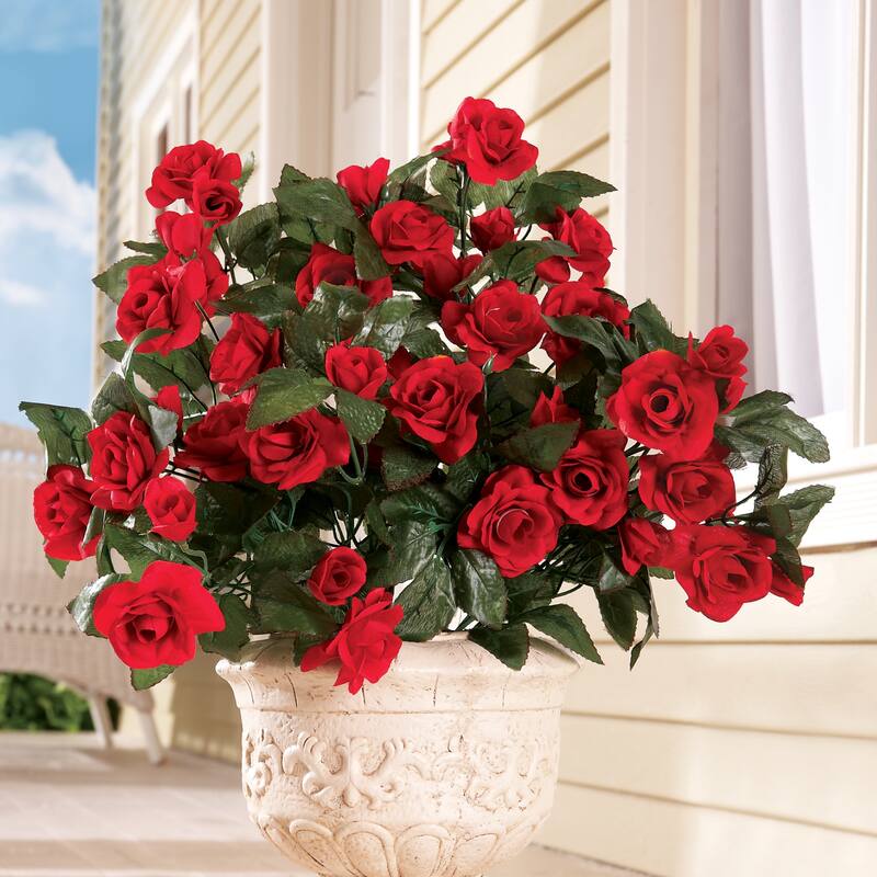 Floral Rose Bushes - Set of 3