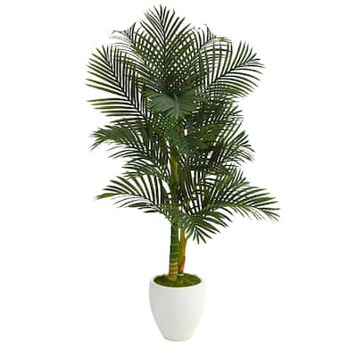 5' Paradise Palm Artificial Tree in White Planter - 13"
