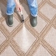 preview thumbnail 21 of 21, Martha Stewart by SAFAVIEH Didem Indoor/Outdoor Trellis Rug