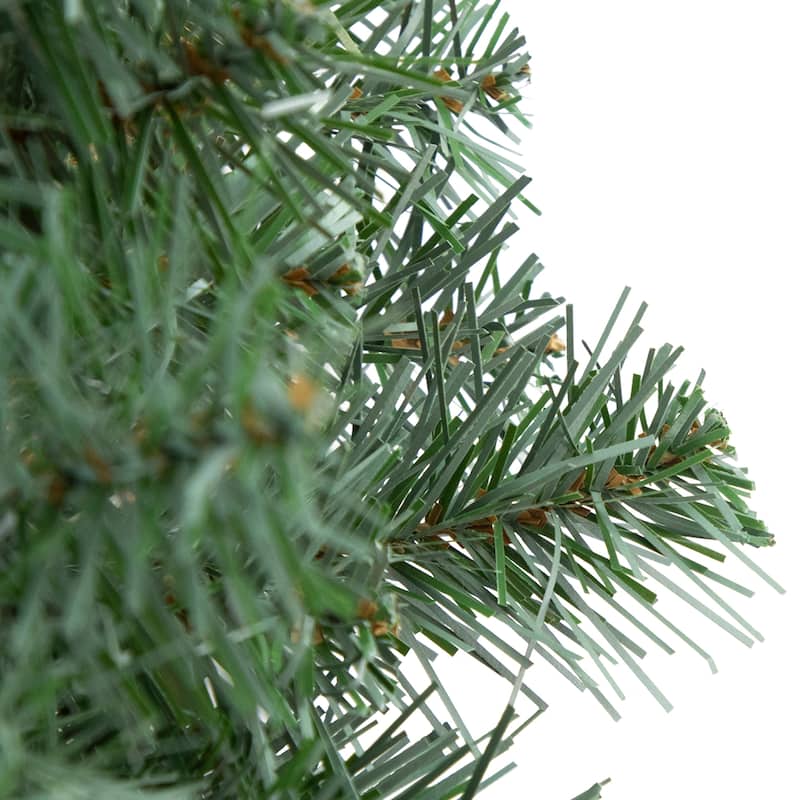 Colorado Blue Spruce Artificial Christmas Wreath - 24" - Unlit