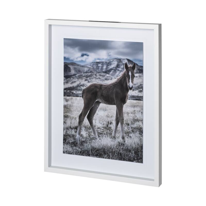 Horse 3 Framed Art Print