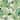 Veer Decor Island Eden Blue Peel & Stick Wallpaper