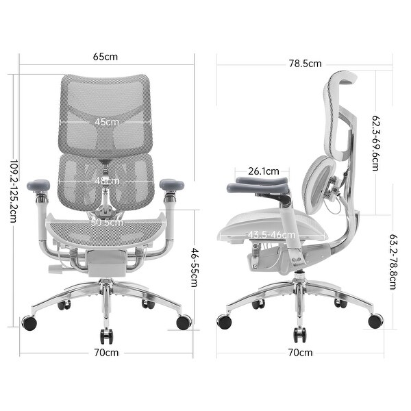 SIHOO Doro S300 Ergonomic Office Chair - Dual-layer Dynamic