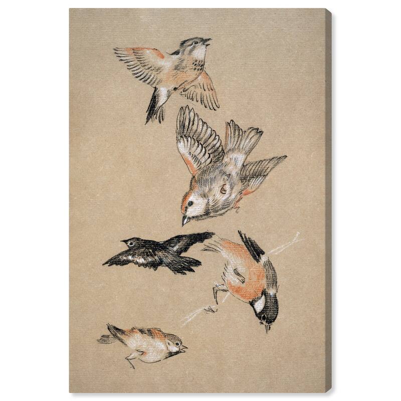 Wynwood Studio Canvas Animals Finches Brown and Tan Rustic Wall Art Canvas Print