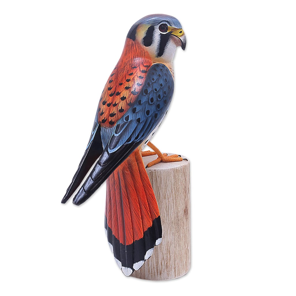 Novica Handmade American Kestrel Wood Sculpture