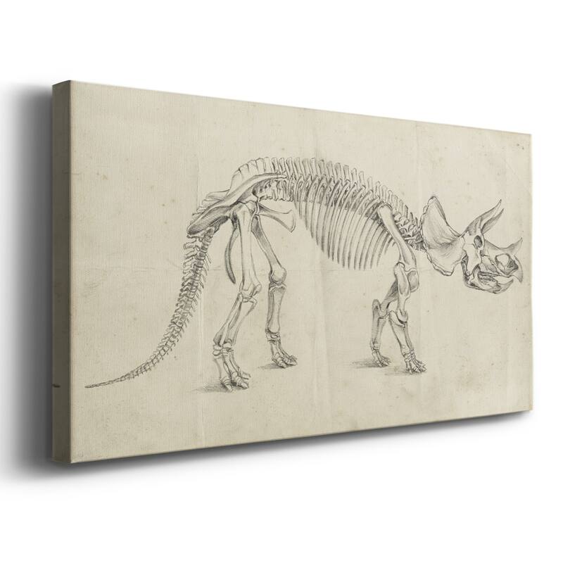 Dinosaur Study II- Premium Gallery Wrapped Canvas - Ready to Hang