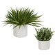 preview thumbnail 1 of 2, Uttermost 60211 Edgewood 14" Tall Ceramic Faux Flora Planter - Set of White