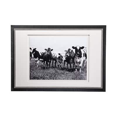 Curiosity Framed Art Print