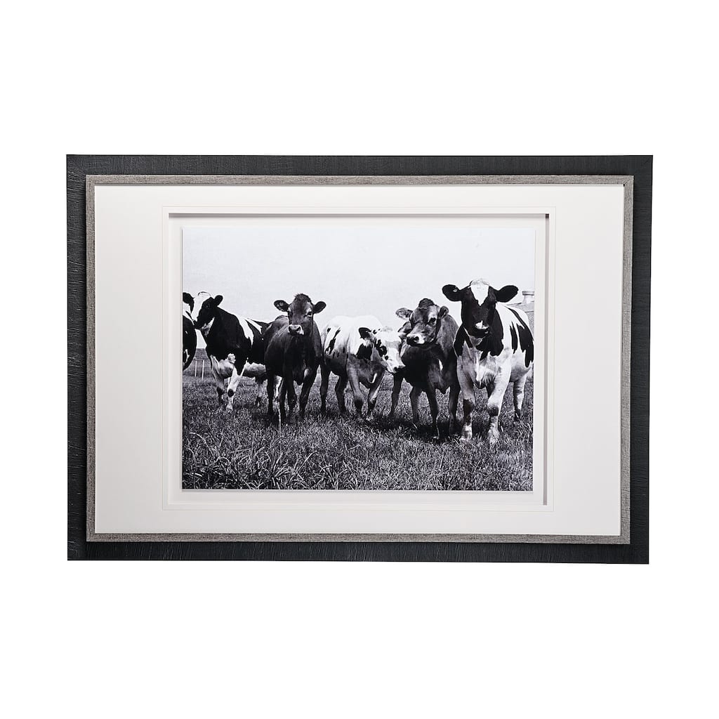 Curiosity Framed Art Print