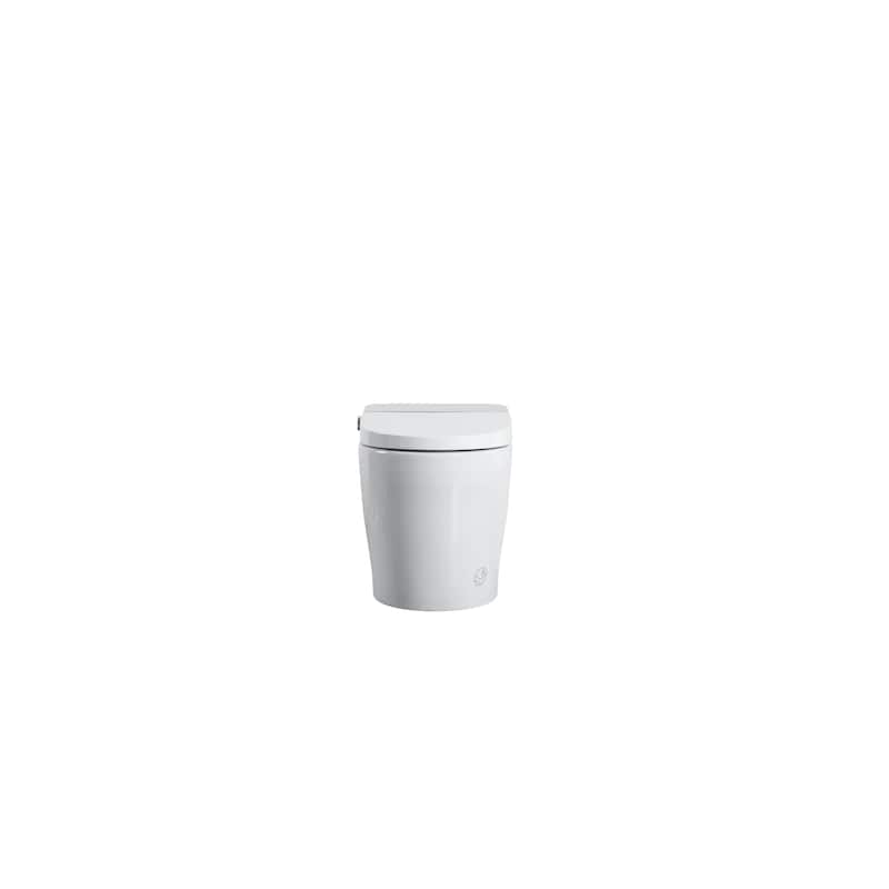 Tankless Smart Toilet With Bidet Built In, One-Piece Bidet Toilet Seat, Auto Flush, Auto Open/Close,Heated Seat,Remote Control