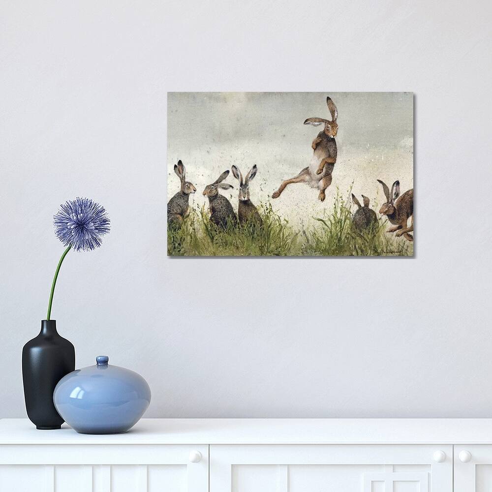 iCanvas 'Hijinx' by Maggie Vandewalle Canvas Print