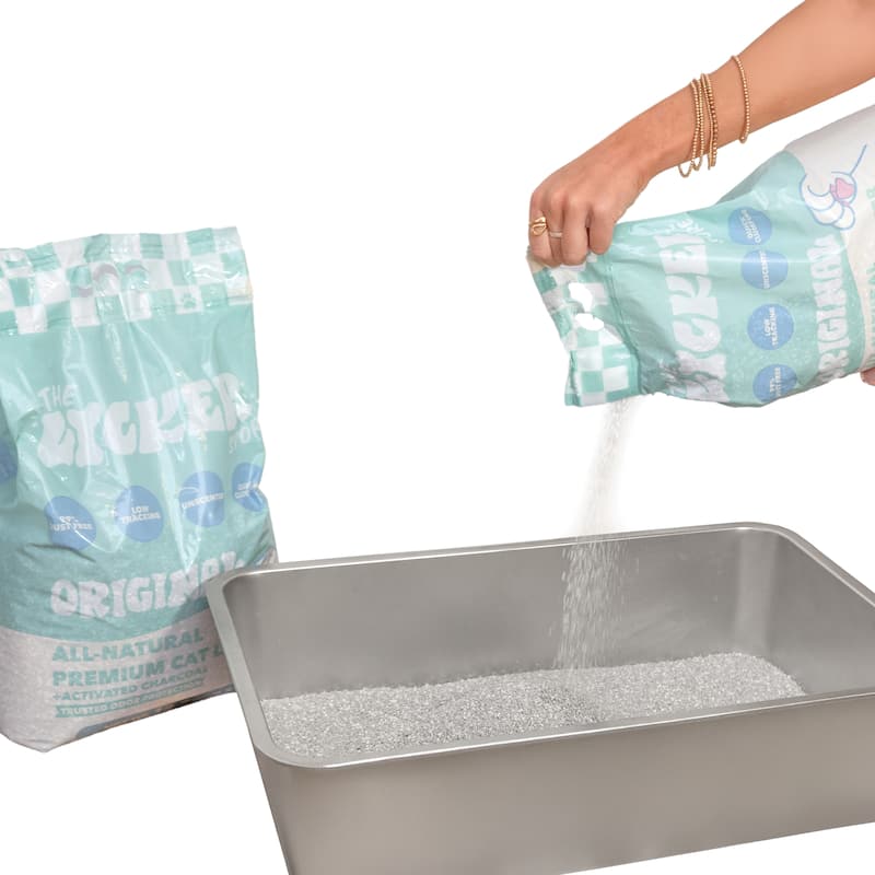 Unscented Premium Clumping Bentonite Clay Cat Litter w/Activated Charcoal