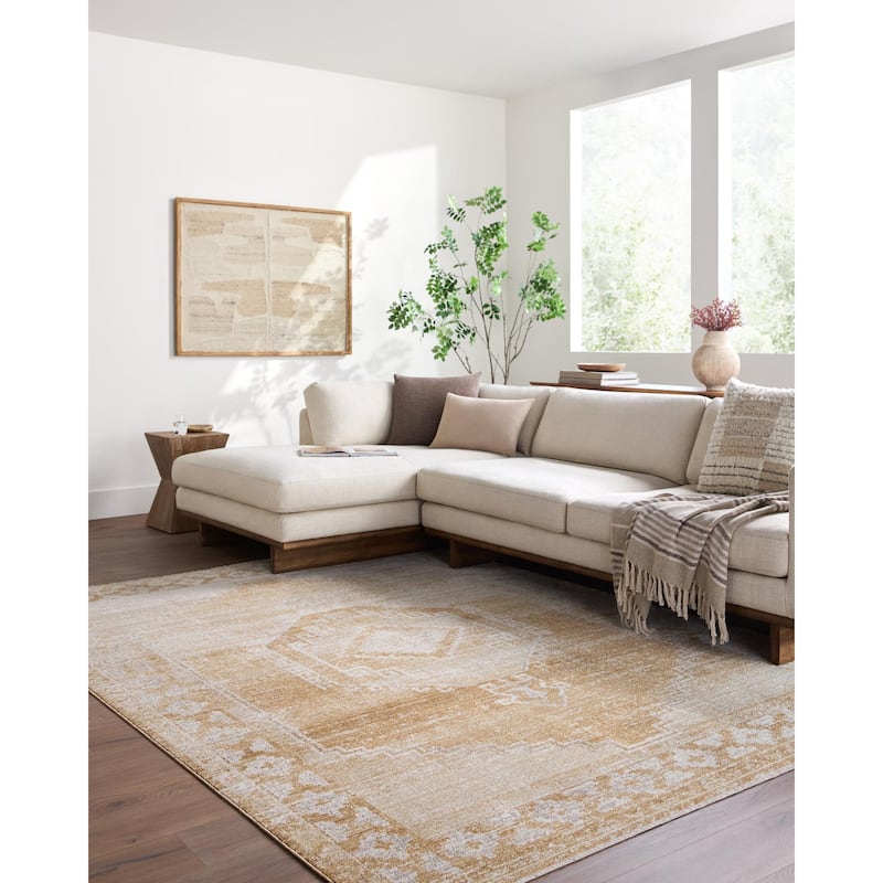 Livabliss Fifth Avenue Traditional Area Rug - 8'10" x 12'2" - Light Brown