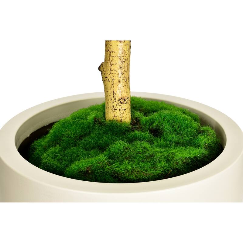 6.5 ft. Artificial Shady Lady Tree in White Decor Pot - 37.5 in. W x 29.5 in. D x 78.75 in. H