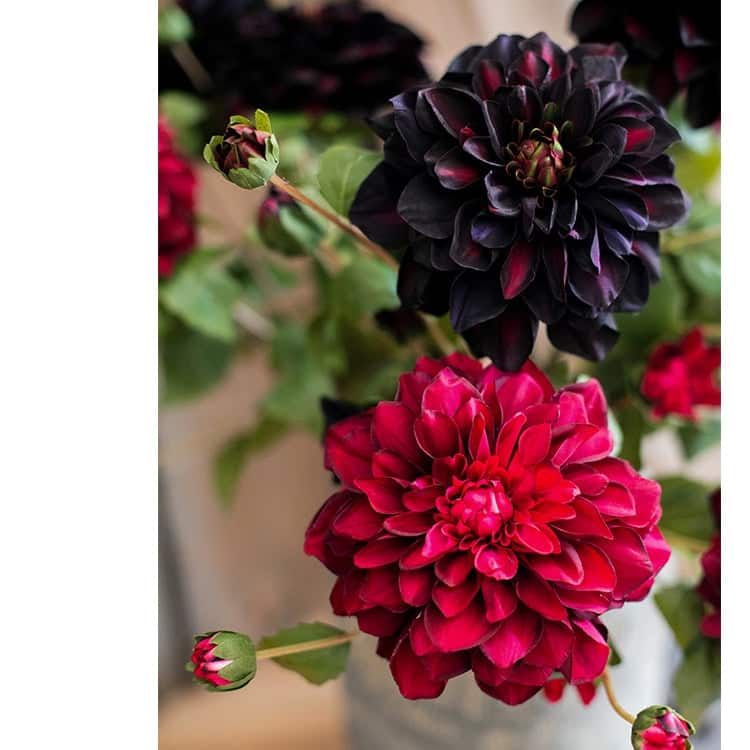RusticReach Artificial Blooming Dahlia Stem 29" Tall