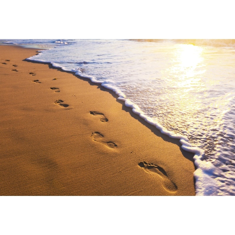 Dimex Footsteps Wall Mural - 98.4in x 147.6in x 0.025in
