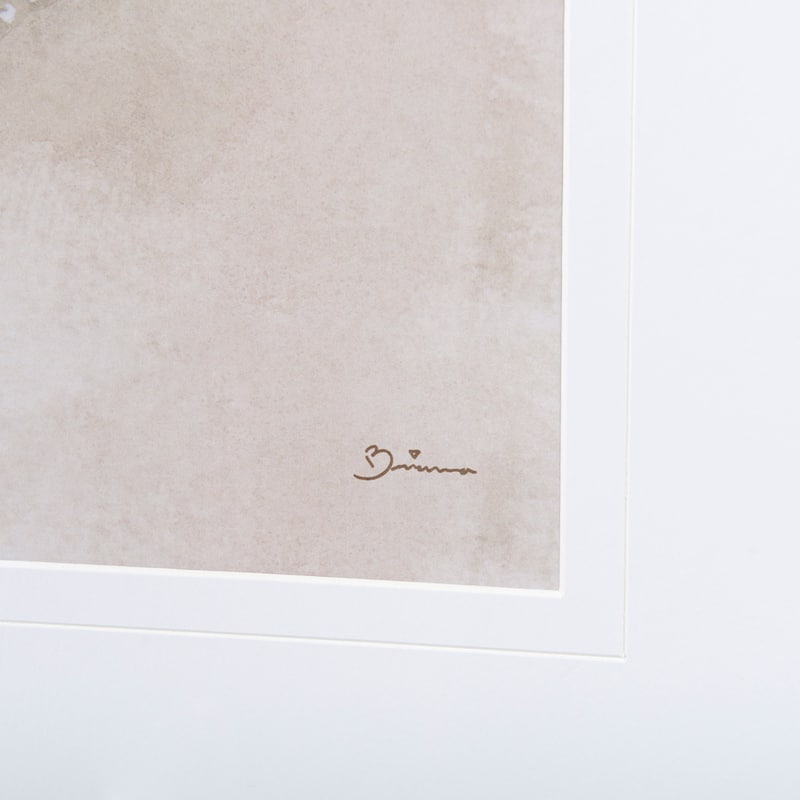 Dream Weaver II Framed Art Print