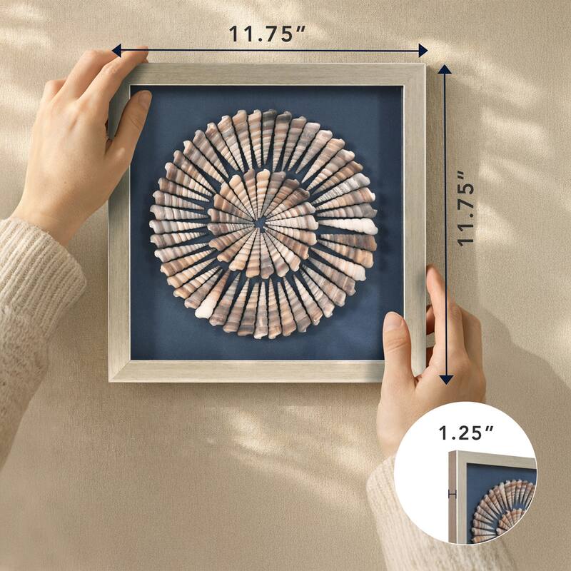 American Art Decor 2-Piece Coastal Seashell & Sea Glass Shadowbox Framed Wall Art Set
