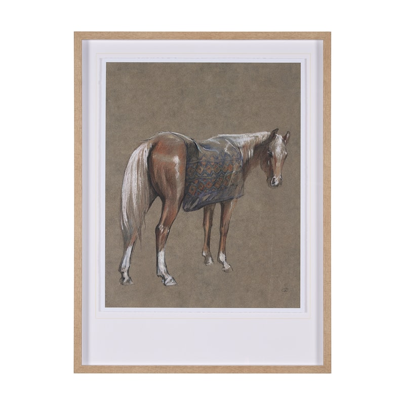 Palomino Blanket Framed Art Print