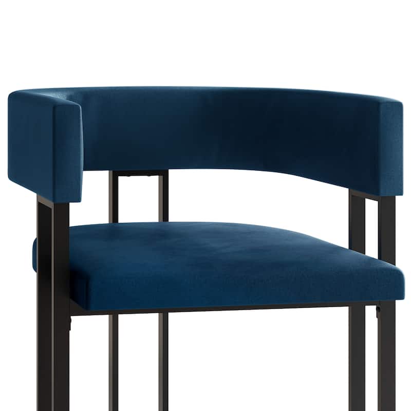 CraftPorch 2 Pieces Contemporary Dining Chair Set