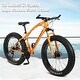 preview thumbnail 8 of 7, 17 Inches Fat Tire Mountain Bike