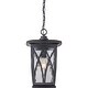 preview thumbnail 3 of 3, Grover 1-Light Outdoor Hanging Lantern in Mystic Black