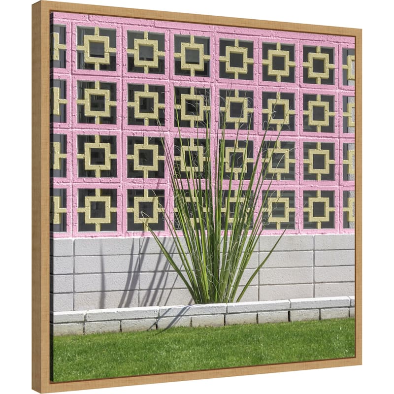 Mid Century Breeze Block Wall with Cactus by Tom Windeknecht Framed Canvas Wall Art Print - Sylvie Natural