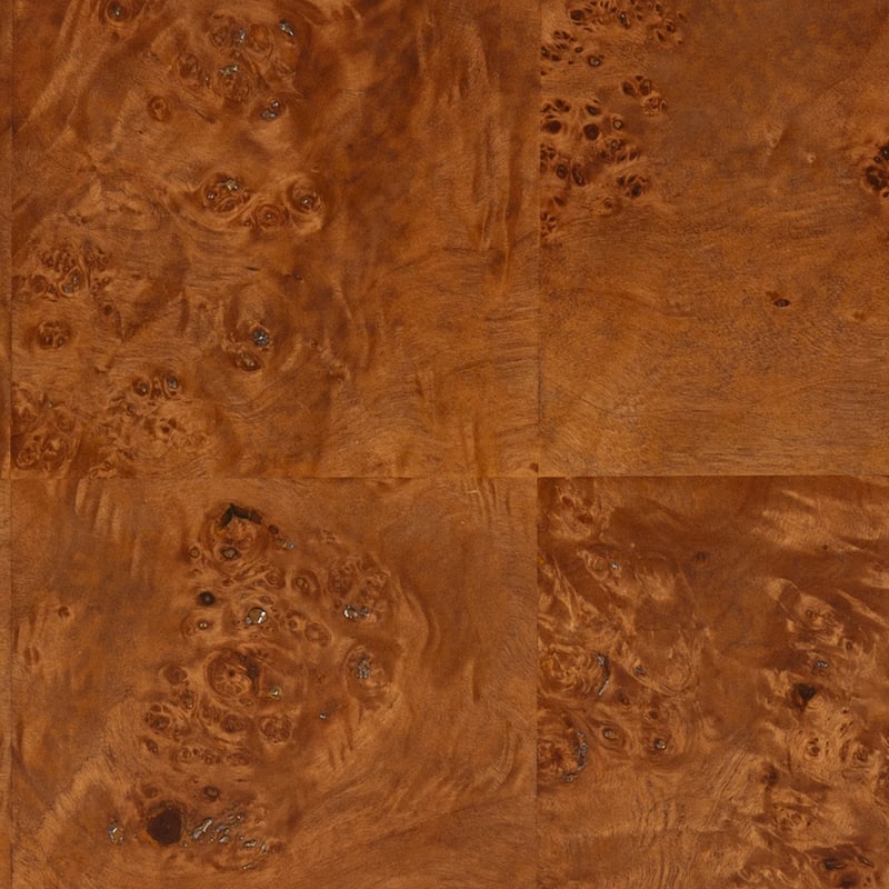 SAFAVIEH Couture Betharose Burl Wood Cons Table - 60"W x 16"D x 29"H