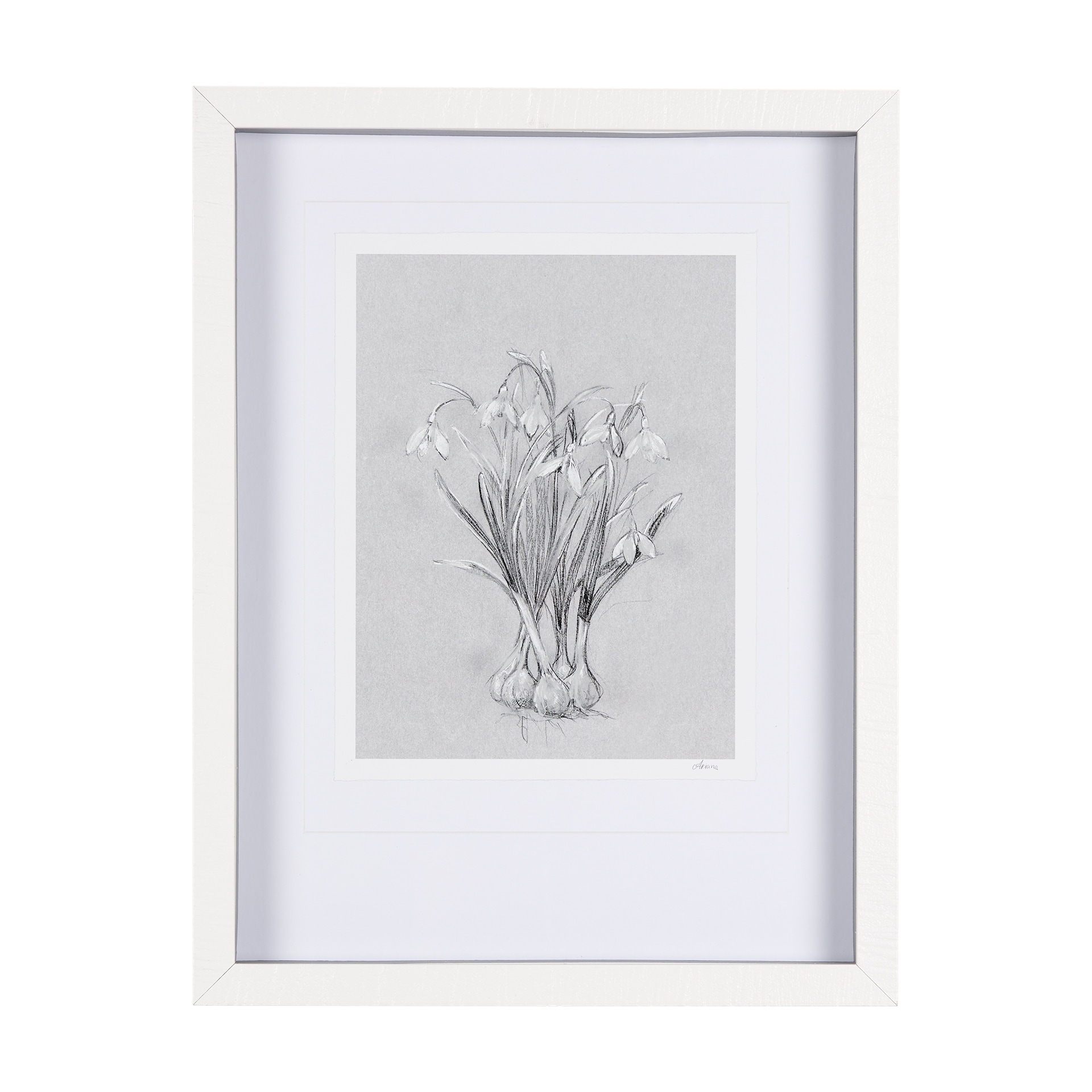 Botanical sketches VI (Grey) by Mercana Studio Hand Embellished Framed Art Print Matted under Glass