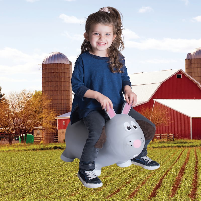 Toddler Boys and Girls Farm Hopper Bounce Toy, Bunny