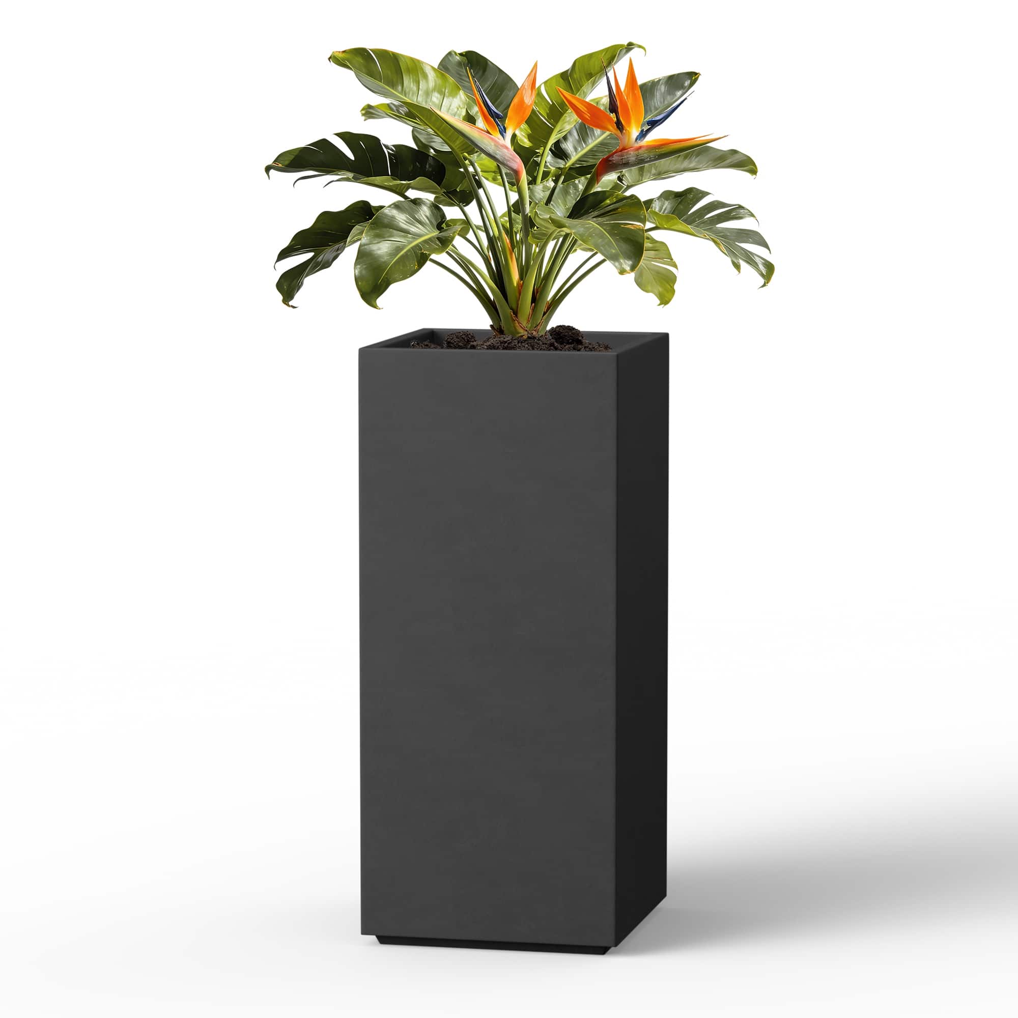 Option Dark Charcoal