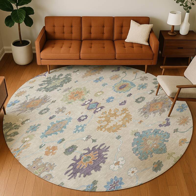 Machine Washable Indoor/ Outdoor Traditonal Delhi Chantille Rug