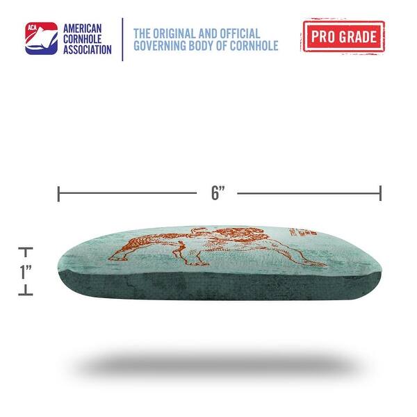 Go Fetch Teal Dual Sided Cornhole Bags