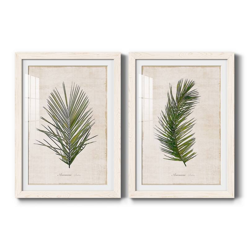 Palm Botanical I-Premium Framed Print - Ready to Hang