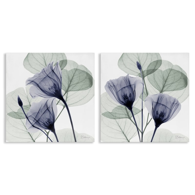 Stupell Fading Florals & Herbs Canvas Wall Art Design By Albert Koetsier (Set of 2) - 17 x 17