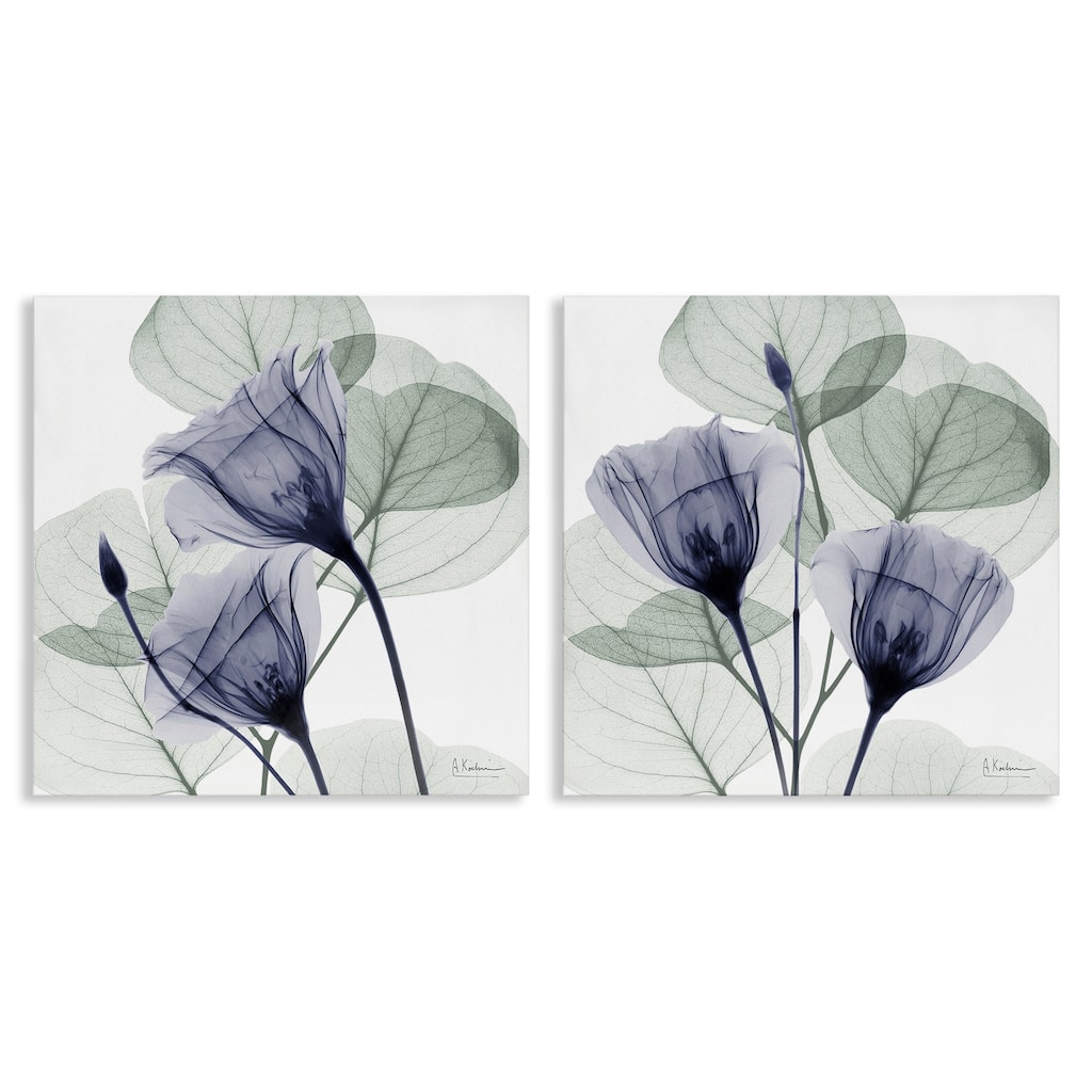 Stupell Fading Florals & Herbs Canvas Wall Art Design By Albert Koetsier (Set of 2)