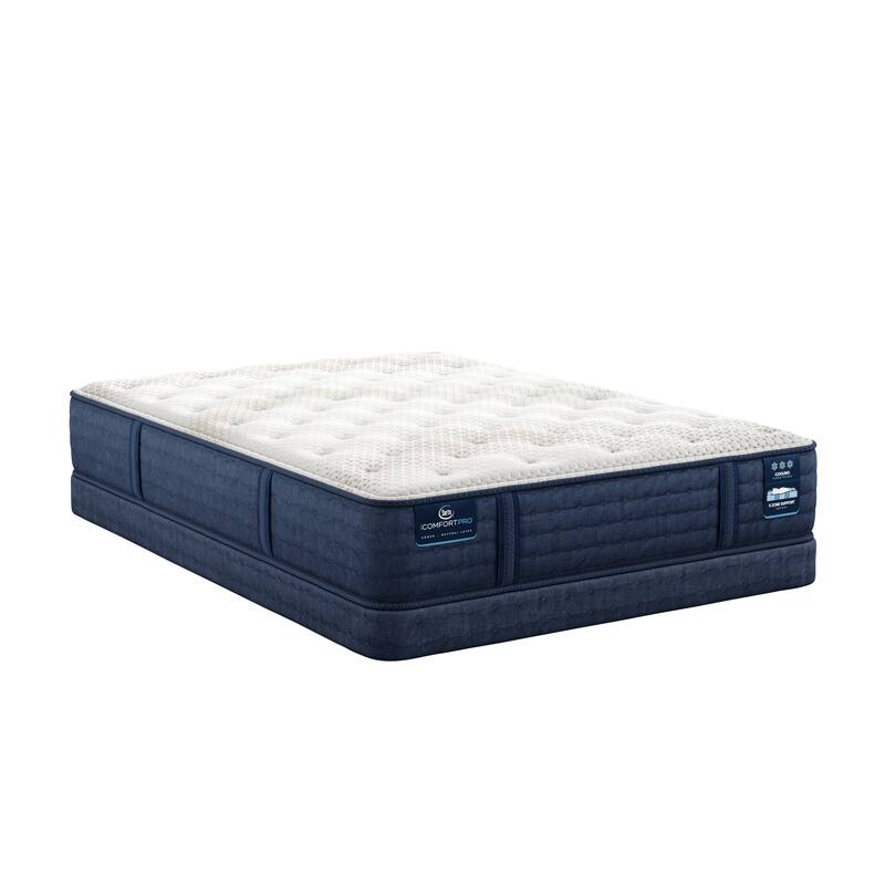 Serta iComfortPro Chelsea 12" Latex Foam Medium Mattress Set