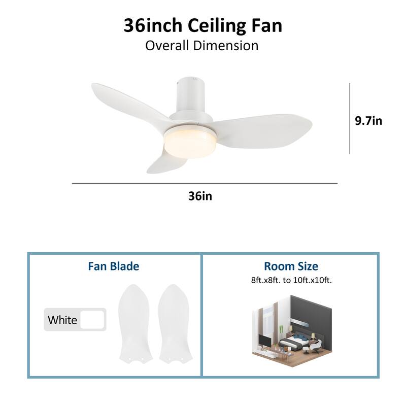 CARRO Chamomile 36" 3-Blade Indoor Smart Ceiling Fan with Light and Remote