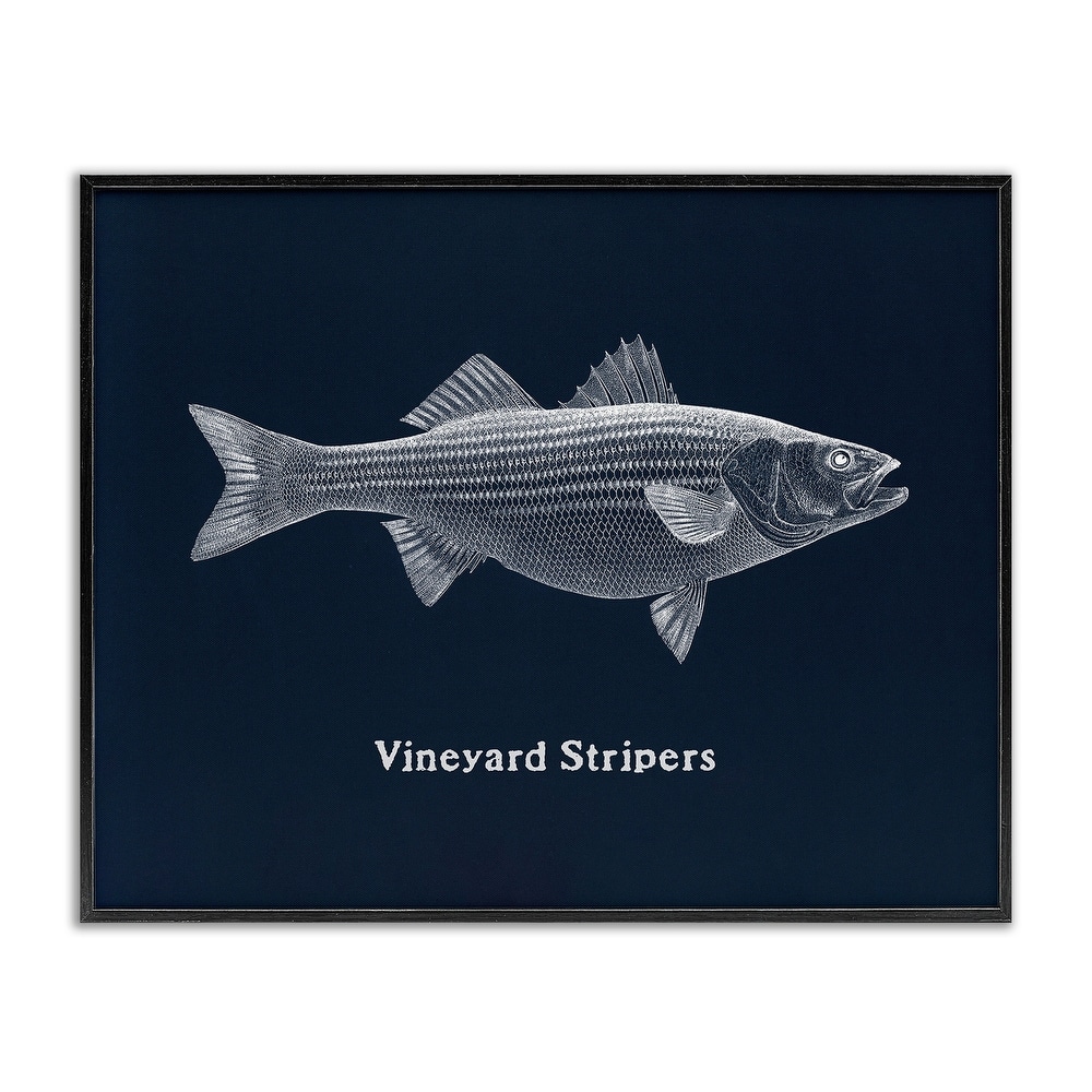 Stupell Vineyard Stripers Fish Framed Giclee Art Design By Phillipa Katz