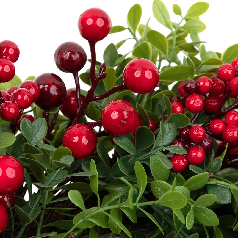 Red Berry and Boxwood Artificial Christmas Wreath - 20" - Unlit