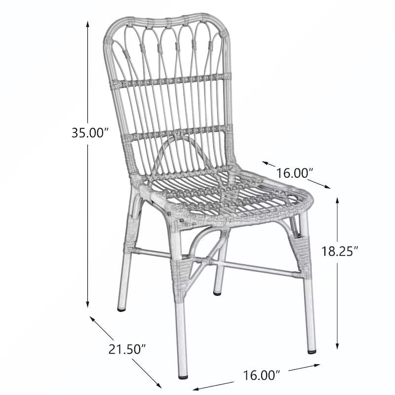 2PCS PE Dining Chairs