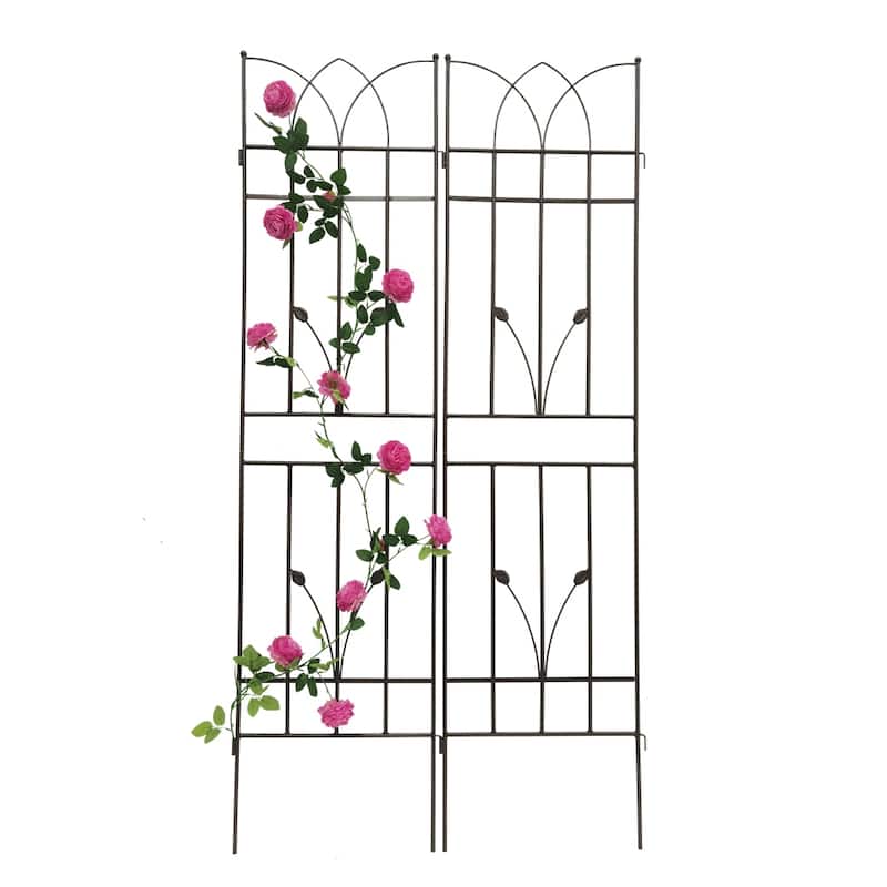 2 Pack Outdoor Metal Garden Rustproof Trellis for Climbing Plants