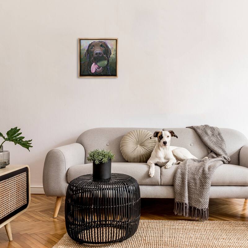 Stupell Dog Playing Ball Portrait Framed Floater Canvas Wall Art Design By Nadi Spencer