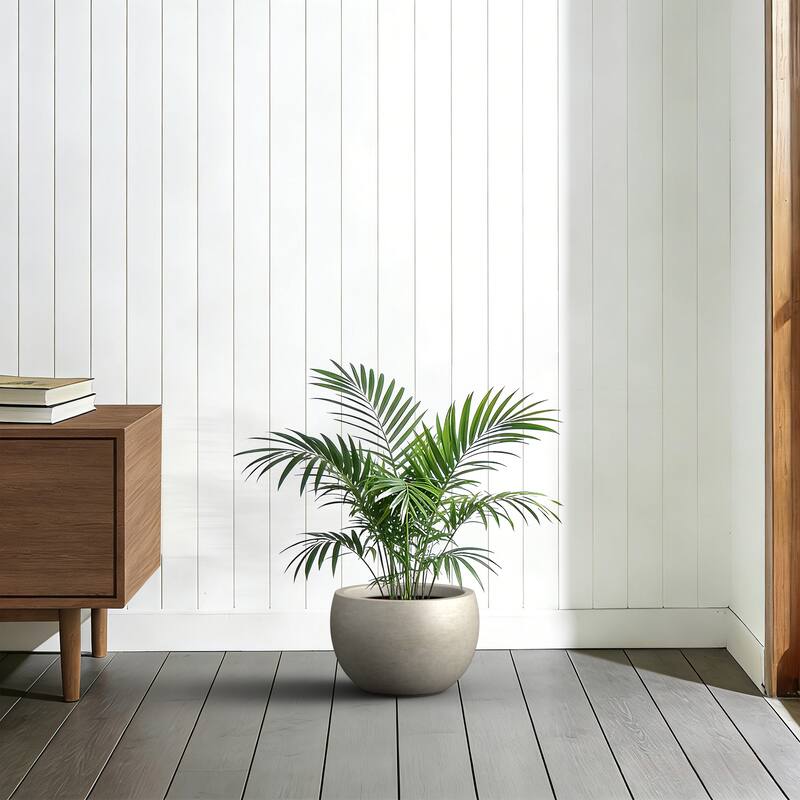 Concrete Round Bowl Planter with Drainage Hole(Upgraded Interior)