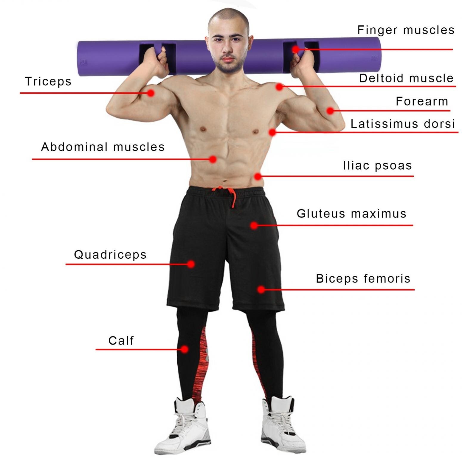Weight tube exercise best sale
