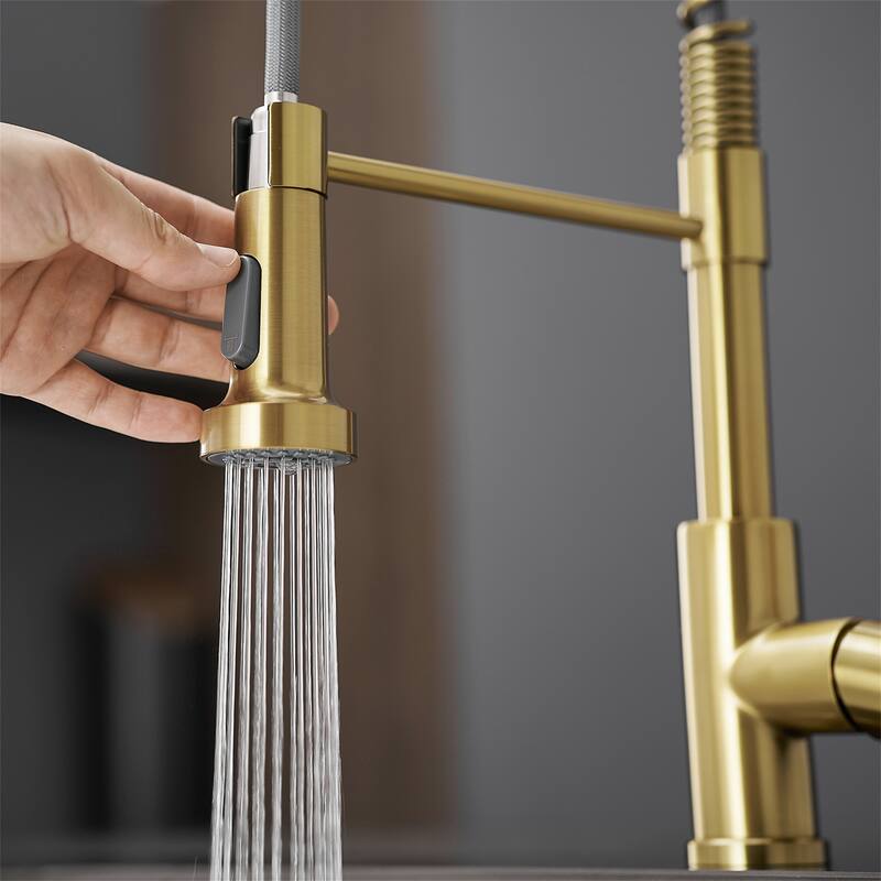 Kitchen Faucet with Pull Down Sprayer Single Handle
