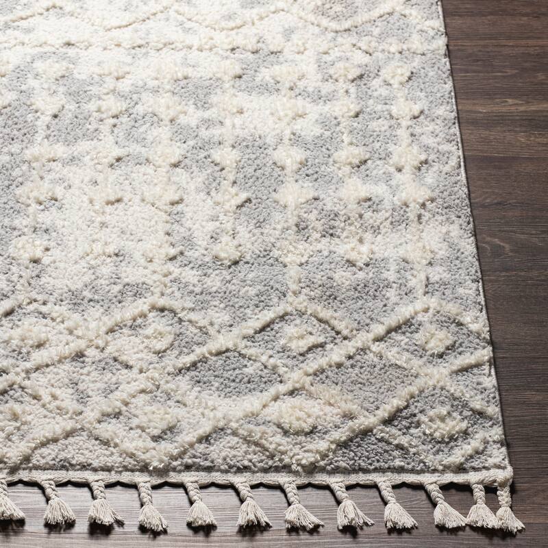Artistic Weavers Havva Geometric Bohemian Area Rug